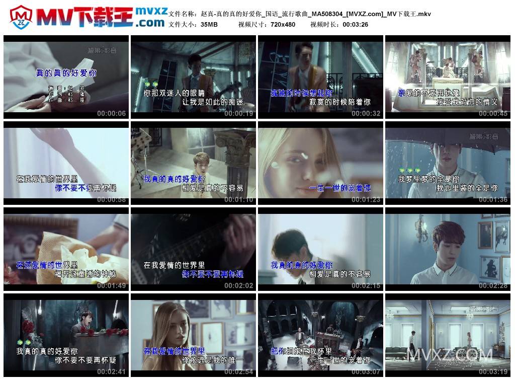 赵真-真的真的好爱你_国语_流行歌曲_MA508304